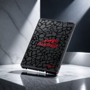 Accelerate Performance Fast with Apacer AS350 Panther 256GB SATAIII SSD